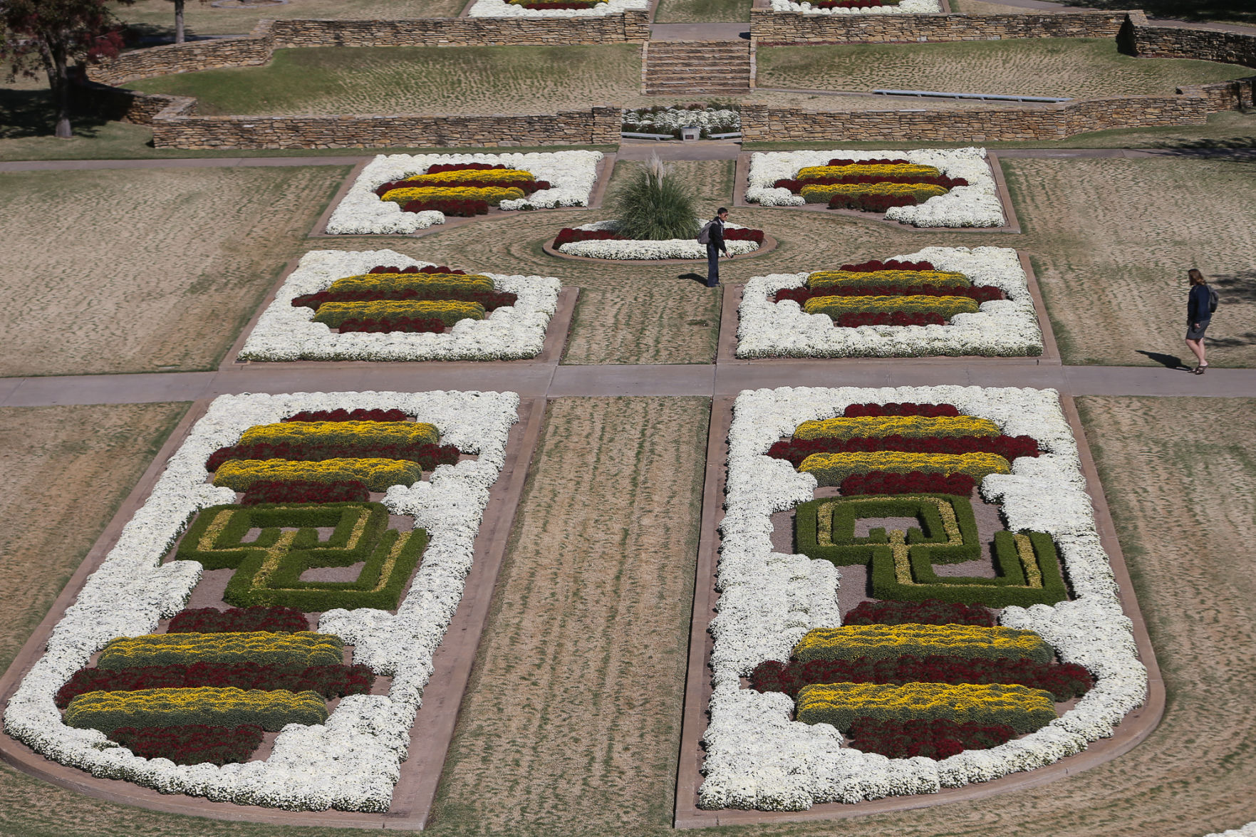 South Oval Mums